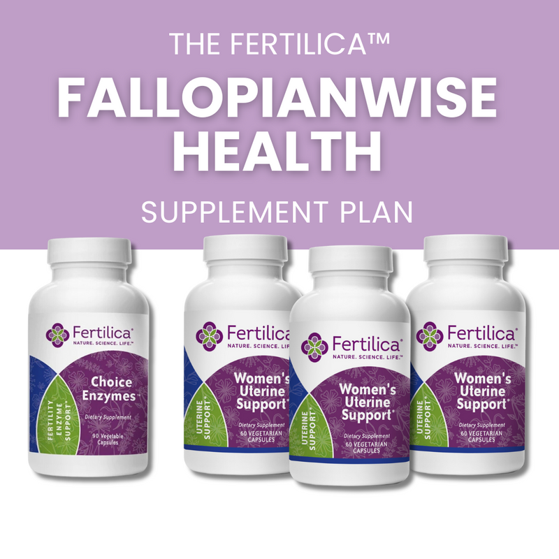 FallopianWise Health Program