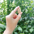 Fertilica Maca Capsules - Organic 6:1 Concentrate